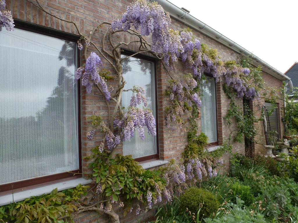 Guesthouse Kolibriehuys Nieuwkerke Exterior photo